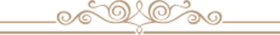 サロンメニュー