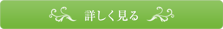 詳しく見る
